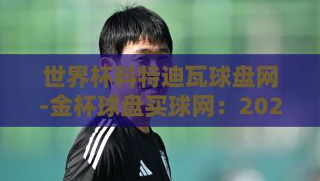 世界杯科特迪瓦球盘网-金杯球盘买球网：2026年球迷必看的三大实战技巧