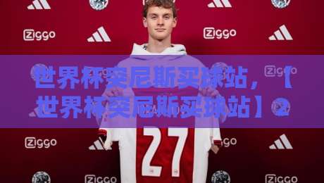 世界杯突尼斯买球站，【世界杯突尼斯买球站】2026年观赛指南：如何避开陷阱买到真票