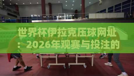 世界杯伊拉克压球网址：2026年观赛与投注的正确打开方式