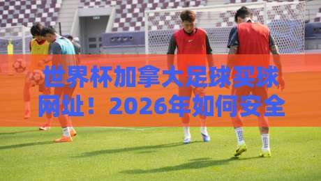世界杯加拿大足球买球网址！2026年如何安全选择正规平台？