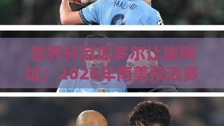 世界杯厄瓜多尔让球网址；2026年南美预选赛盘口深度解析与实用指南