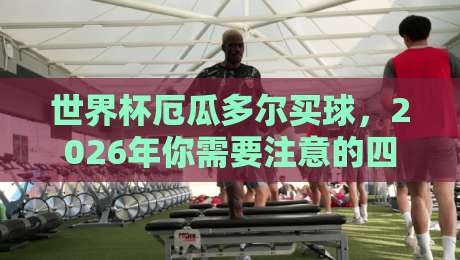 世界杯厄瓜多尔买球，2026年你需要注意的四大关键点
