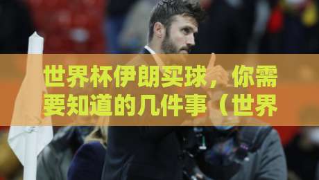 世界杯伊朗买球，你需要知道的几件事（世界杯伊朗买球）