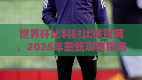 世界杯比利时比球官网，2026年最新观赛指南与数据全解析