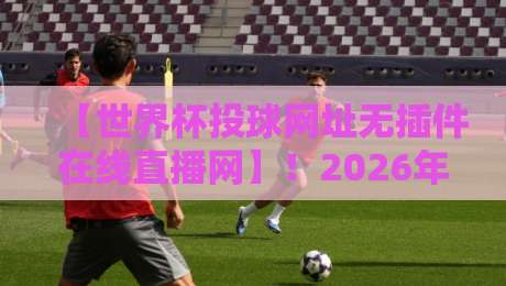 【世界杯投球网址无插件在线直播网】！2026年观赛必备的无插件直播地址指南