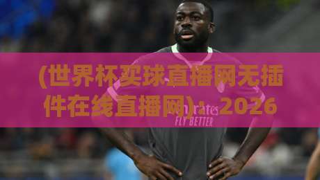 (世界杯买球直播网无插件在线直播网)：2026年球迷必备，高清流畅不卡顿的秘密