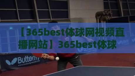 【365best体球网视频直播网站】365best体球网视频直播网站：2026年观赛新体验，懂的都懂