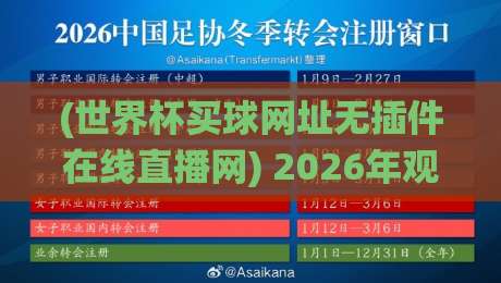 (世界杯买球网址无插件在线直播网) 2026年观赛新姿势：无插件直连，一场颠覆传统的世界波体验