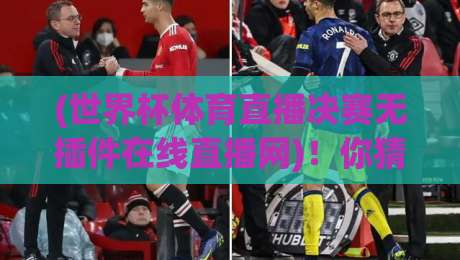 (世界杯体育直播决赛无插件在线直播网)！你猜2026年决赛去哪看？没有广告的快乐真香