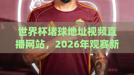世界杯堵球地址视频直播网站，2026年观赛新体验(世界杯堵球地址视频直播网站)全面解析