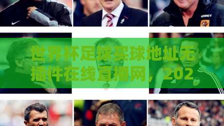 世界杯足球买球地址无插件在线直播网,2026年最全观赛指南来了! 世界杯足球买球地址无插件在线直播网,2026年最全观赛指南来了!