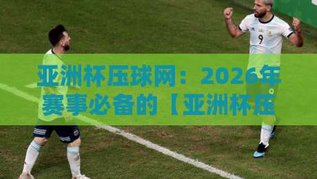 亚洲杯压球网：2026年赛事必备的【亚洲杯压球网】选购与维护全攻略